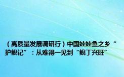 （高质量发展调研行）中国娃娃鱼之乡“护鲵记”：从难得一见到“鲵丁兴旺”