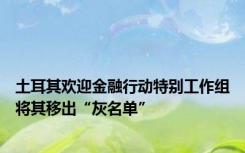 土耳其欢迎金融行动特别工作组将其移出“灰名单”