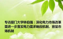 专访厦门大学林伯强：深化电力市场改革需进一步落实电力需求响应机制、容量市场机制