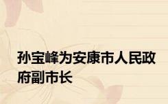 孙宝峰为安康市人民政府副市长