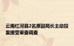 云南红河县2名原副局长主动投案接受审查调查