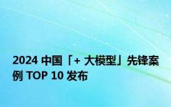 2024 中国「+ 大模型」先锋案例 TOP 10 发布