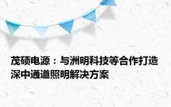 茂硕电源：与洲明科技等合作打造深中通道照明解决方案