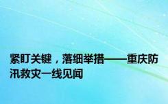 紧盯关键，落细举措——重庆防汛救灾一线见闻