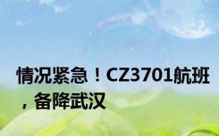 情况紧急！CZ3701航班，备降武汉