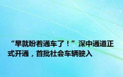 “早就盼着通车了！”深中通道正式开通，首批社会车辆驶入