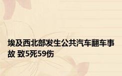 埃及西北部发生公共汽车翻车事故 致5死59伤