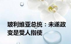 玻利维亚总统：未遂政变是受人指使