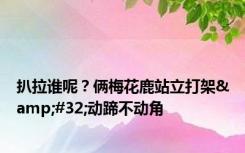 扒拉谁呢？俩梅花鹿站立打架&#32;动蹄不动角