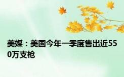 美媒：美国今年一季度售出近550万支枪