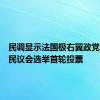 民调显示法国极右翼政党领跑国民议会选举首轮投票