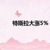 特斯拉大涨5%