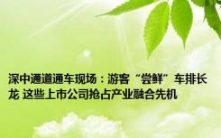 深中通道通车现场：游客“尝鲜”车排长龙 这些上市公司抢占产业融合先机