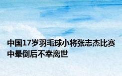 中国17岁羽毛球小将张志杰比赛中晕倒后不幸离世