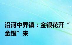 沿河中界镇：金银花开“金银”来