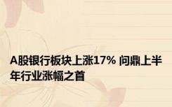 A股银行板块上涨17% 问鼎上半年行业涨幅之首