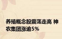 养殖概念股震荡走高 神农集团涨逾5%