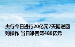 央行今日进行20亿元7天期逆回购操作 当日净回笼480亿元