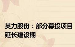 英力股份：部分募投项目延长建设期