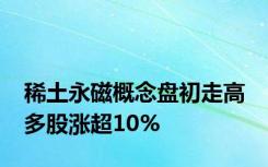 稀土永磁概念盘初走高 多股涨超10%