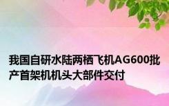 我国自研水陆两栖飞机AG600批产首架机机头大部件交付