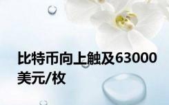 比特币向上触及63000美元/枚