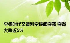 宁德时代又遭利空传闻突袭 突然大跌近5%