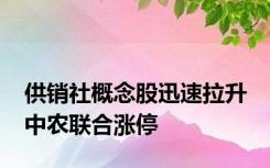 供销社概念股迅速拉升 中农联合涨停