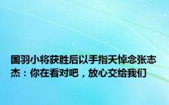 国羽小将获胜后以手指天悼念张志杰：你在看对吧，放心交给我们