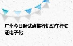 广州今日起试点推行机动车行驶证电子化