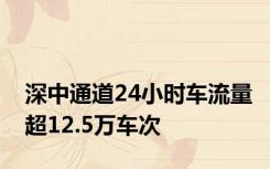 深中通道24小时车流量超12.5万车次