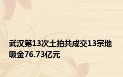 武汉第13次土拍共成交13宗地 吸金76.73亿元