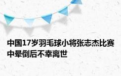 中国17岁羽毛球小将张志杰比赛中晕倒后不幸离世