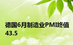 德国6月制造业PMI终值43.5