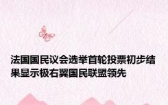 法国国民议会选举首轮投票初步结果显示极右翼国民联盟领先