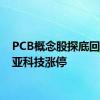 PCB概念股探底回升 骏亚科技涨停