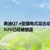 奥迪Q7 e型插电式混合动力大型SUV已经被披露