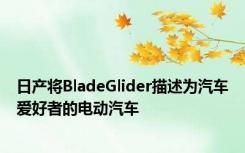 日产将BladeGlider描述为汽车爱好者的电动汽车