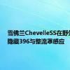 雪佛兰ChevelleSS在野外生锈隐藏396与整流罩感应