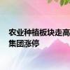 农业种植板块走高 东方集团涨停