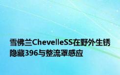 雪佛兰ChevelleSS在野外生锈隐藏396与整流罩感应