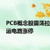 PCB概念股震荡拉升 世运电路涨停