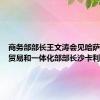 商务部部长王文涛会见哈萨克斯坦贸易和一体化部部长沙卡利耶夫