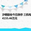 沙钢股份今日涨停 三机构净买入4155.46万元