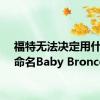 福特无法决定用什么来命名Baby Bronco