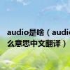 audio是啥（audio是什么意思中文翻译）