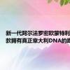 新一代阿尔法罗密欧蒙特利尔是一款拥有真正意大利DNA的跑车