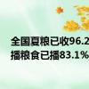 全国夏粮已收96.2% 夏播粮食已播83.1%