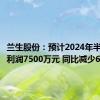 兰生股份：预计2024年半年度净利润7500万元 同比减少61%