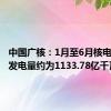 中国广核：1月至6月核电机组总发电量约为1133.78亿千瓦时